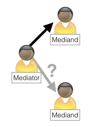 Co-Mediator