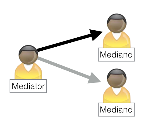 Co-Mediator